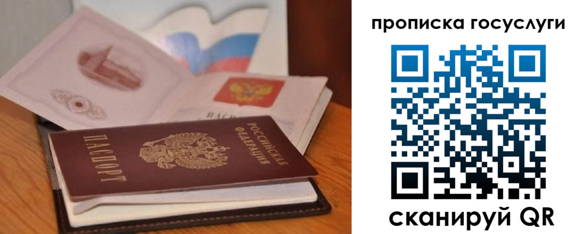 прописка в квартире в Гвардейске